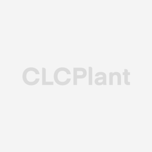 CLC-Blockherstellungsausrüstung