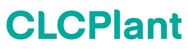 Komplettlösung für CLC-Porenbetonsteinwerke